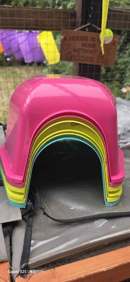 Photo of free guniea pig small rabbit igloos (Watford WD24) #2