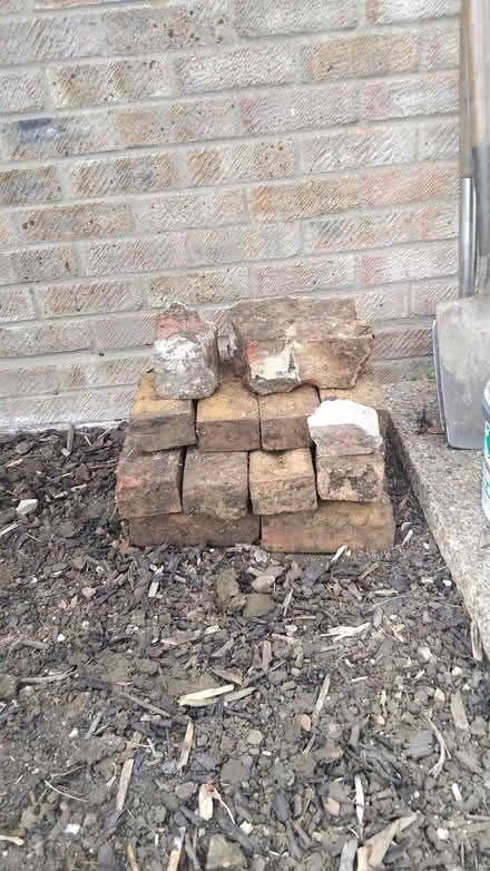 Photo of free Small load of old bricks (Toftwood Dereham) #1