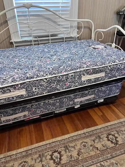 Photo of free Twin mattress-2, like new (Belmont - Waverley area) #1