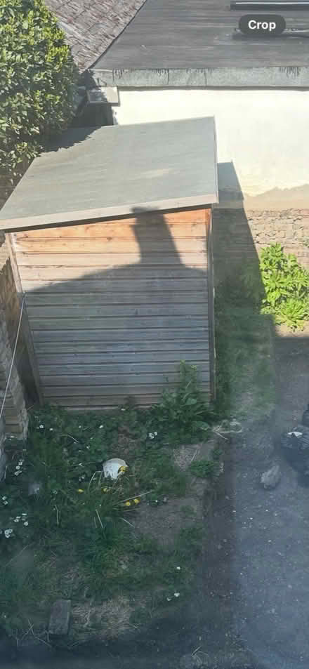 Photo of free Garden shed (Crofton Park, SE4) #2