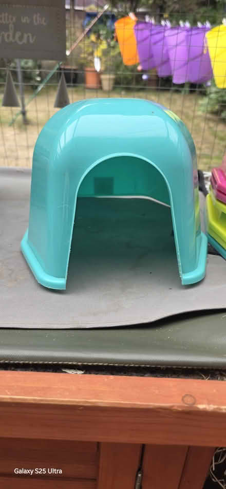 Photo of free guniea pig small rabbit igloos (Watford WD24) #1