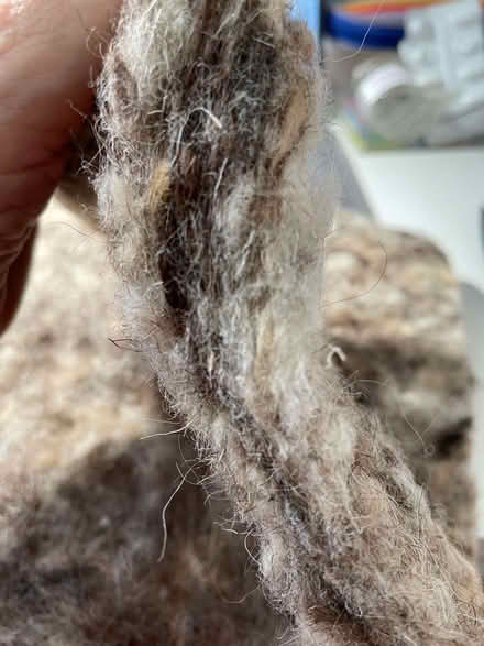 Photo of free Wool Liners (Poets MK40) #3
