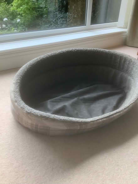 Photo of free Dog bed (Thornton FY5) #4