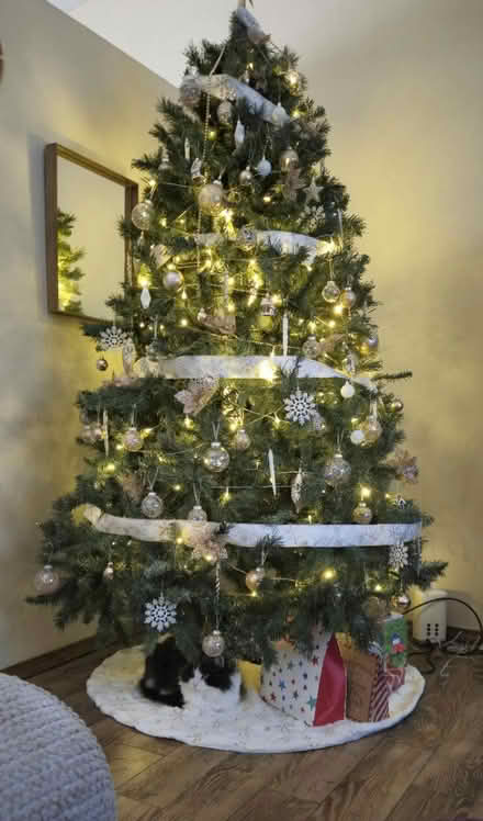 Photo of free Artificial Christmas Tree 7 ft (Near woodmen & union) #1