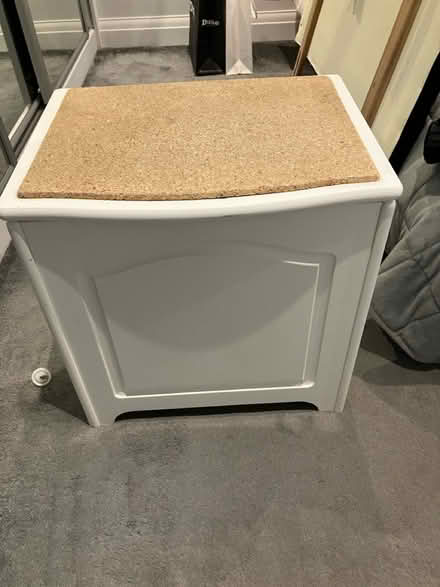 Photo of free Laundry bin (SW20) #4
