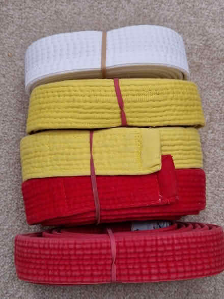 Photo of free Belts for judo etc (East Grinstead town center) #1