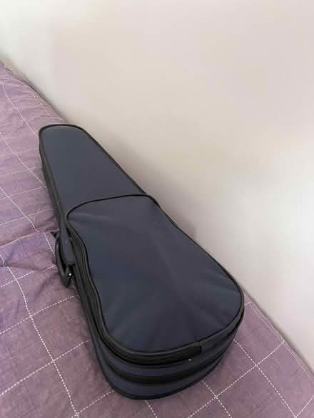 Photo of free Adult size violin (Camberley) #2