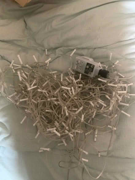 Photo of free Fairy light curtain (South Hackney) #1