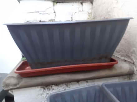Photo of free Flower pots and trays (Chatham ME4) #2