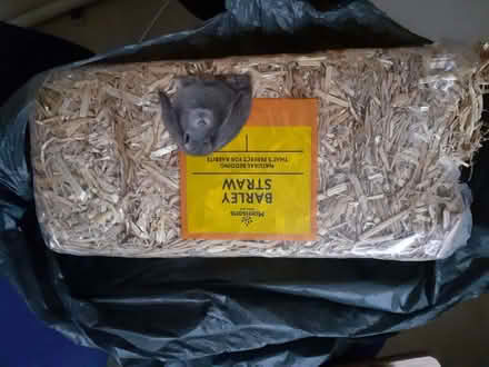 Photo of free Barley straw and storage box with cut out for animal shelter (Chatham ME4) #1