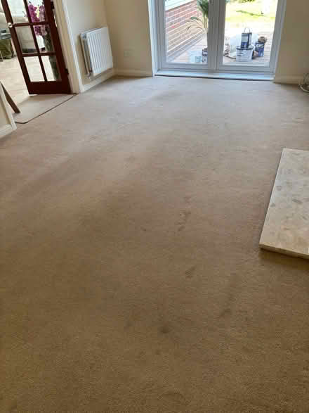 Photo of free Carpet (Milton PO4) #1