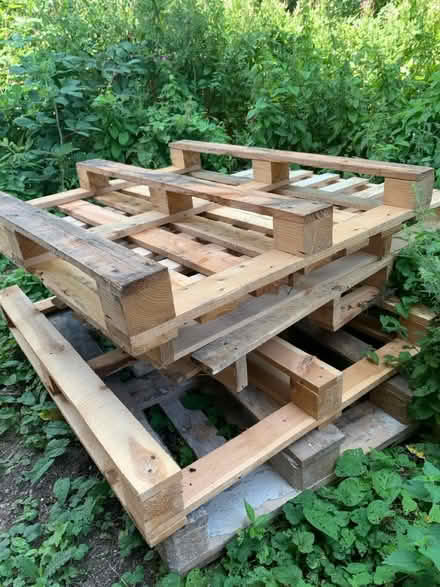 Photo of free 6 wodden pallets (South Oxhey WD19) #1