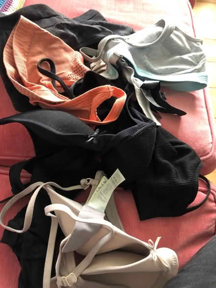 Photo of free Bras for teenage girl (Bear Flat) #1