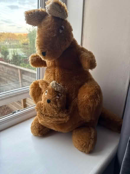 Photo of free Soft toys (Drylaw EH4) #2