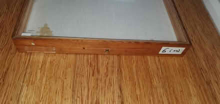 Photo of free Insect draw/display case (Little Herberts GL53) #2