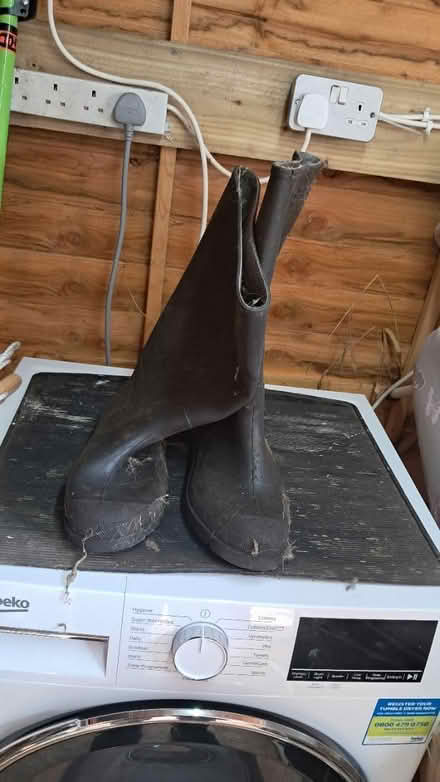 Photo of free dunlop wellies (EX2) #1