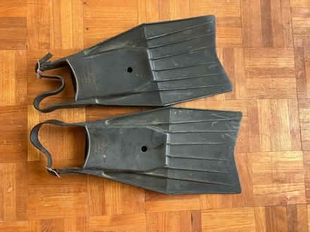 Photo of free Adjustable Flippers (Ottershaw KT16) #1