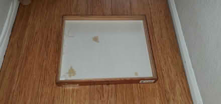 Photo of free Insect draw/display case (Little Herberts GL53) #1