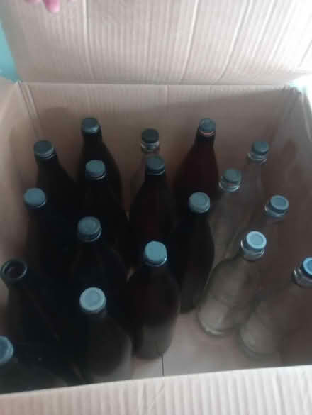 Photo of free Homebrew beer bottles (Stoughton GU2) #1