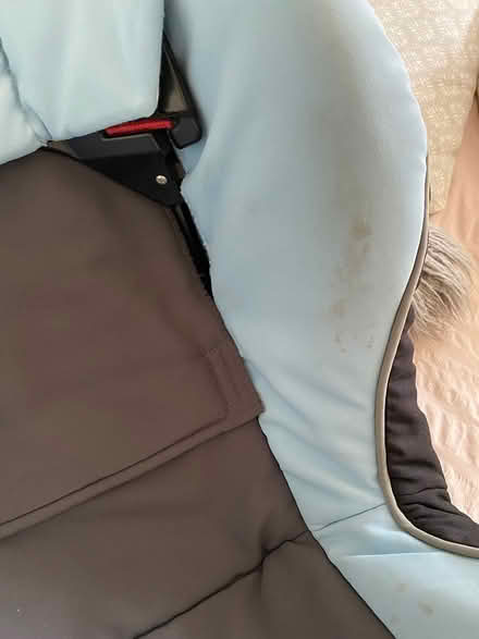 Photo of free Fisher Price Booster seat (Raynes Park) #3