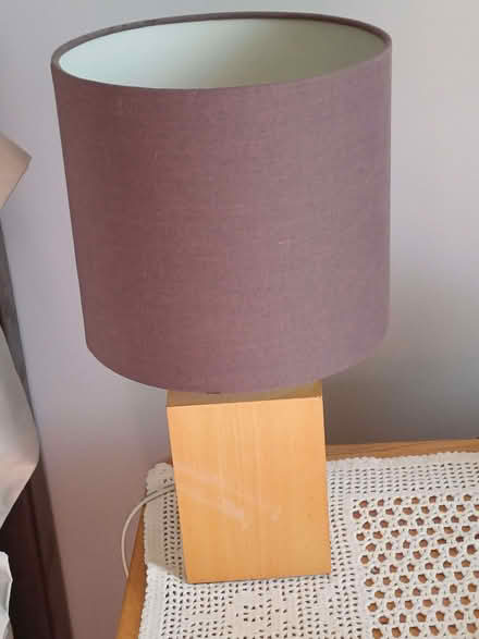 Photo of free Pair of bedside lamps (Steyning BN44) #1