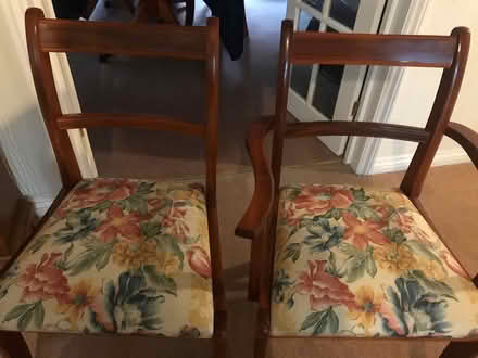 Photo of free Yew dining chairs (Grove Green ME14 5UH) #1