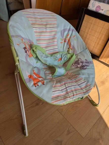 Photo of free Baby Bouncer (Smedley Street DE4) #1