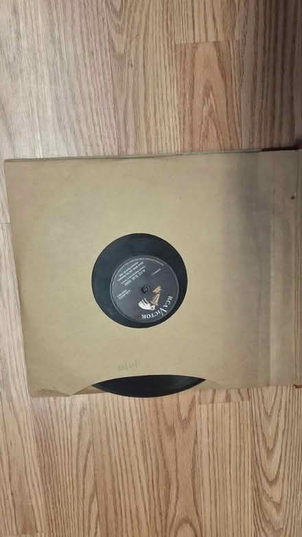 Photo of free Records 1959 (Prospect park south) #2