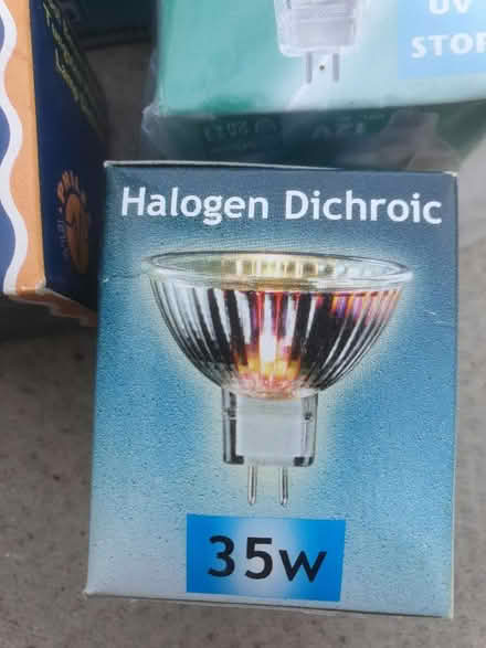 Photo of free Halogen light bulbs 35w (Great Baddow CM2) #2