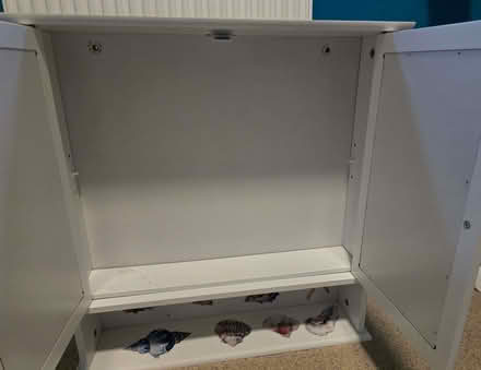 Photo of free Bathroom wall cabinet (Bowbridge GL5) #2