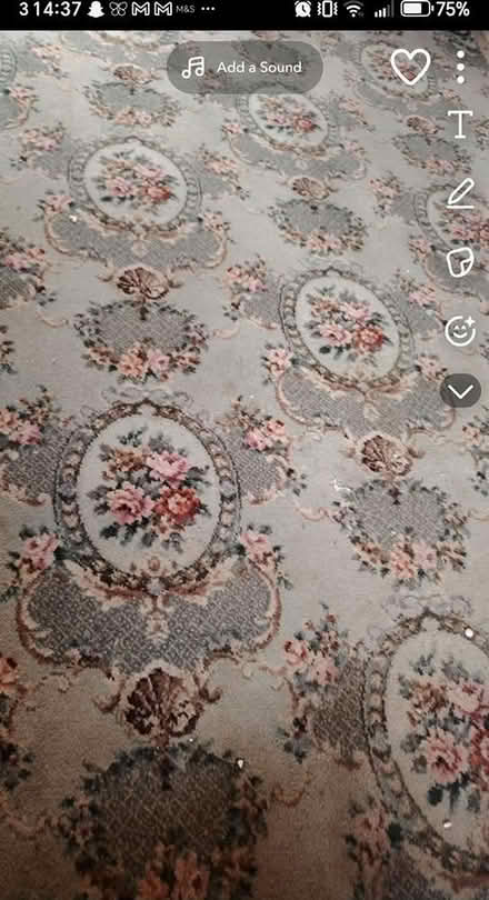 Photo of free Carpet (Sheffield) #1
