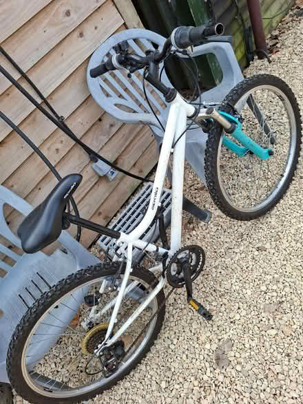 Photo of free Girls bike . (Forest of Dean GL19) #1