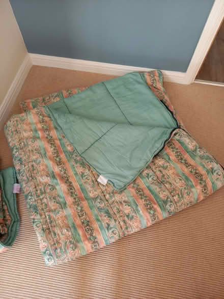 Photo of free 4 Sleeping bags (Burnham near Tesco) #2