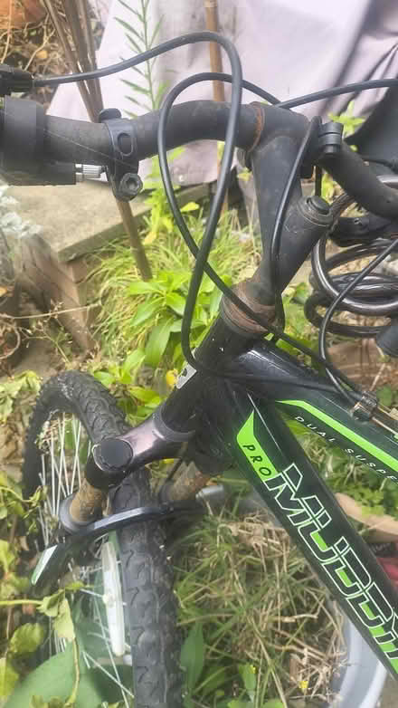 Photo of free Muddyfox Men's Bike (Everton Park L6) #3