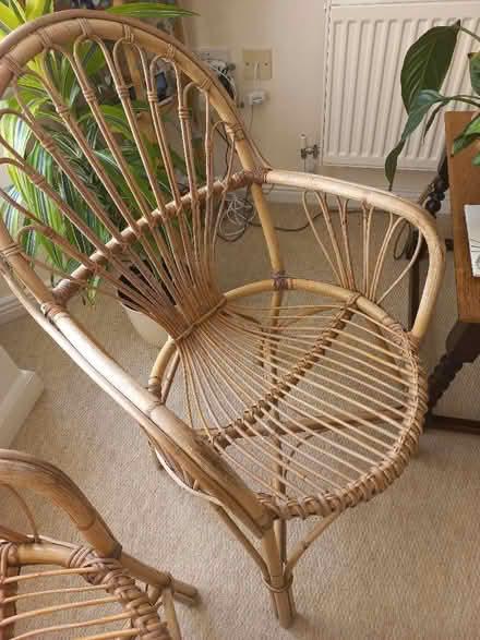 Photo of free A pair of bamboo chairs (Lower Tadmarton OX15) #2