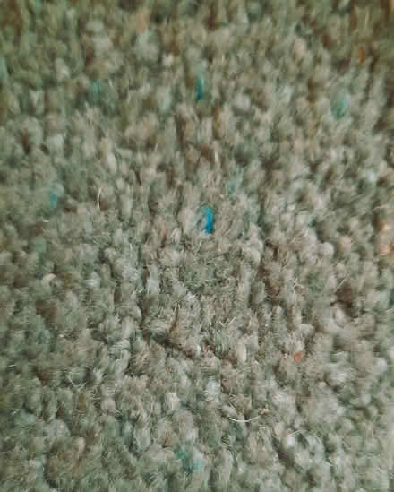 Photo of free Carpet runner, offcut from living room (Thorpe St Andrew NR7) #2