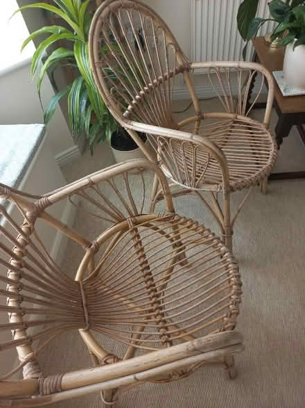 Photo of free A pair of bamboo chairs (Lower Tadmarton OX15) #1