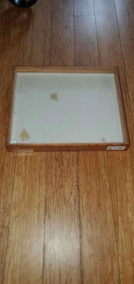 Photo of free Insect draw/display case (Little Herberts GL53) #3