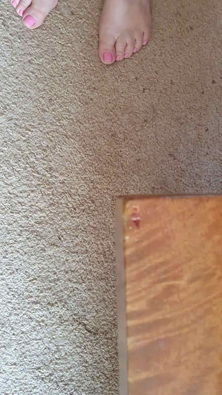 Photo of free Hardwood coffee table 140cm (Parson's Heath CO4) #4