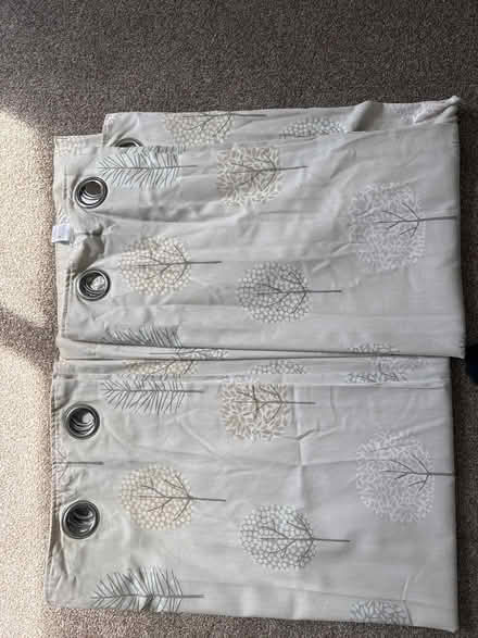 Photo of free Dunelm curtains (Elmdon Heath B91) #1