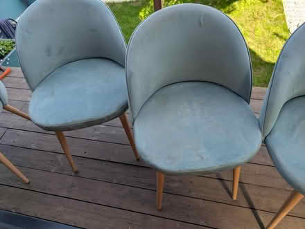 Photo of free 5 fabric dining chairs need a clean (M45 Whitefield) #3