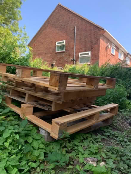 Photo of free 6 wodden pallets (South Oxhey WD19) #3