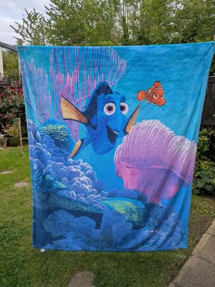 Photo of free Two Disney character large fleece blankets (Bonaly EH13) #2