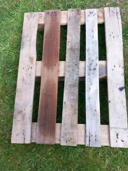 Photo of free Small wooden pallet (Odd Down) #1