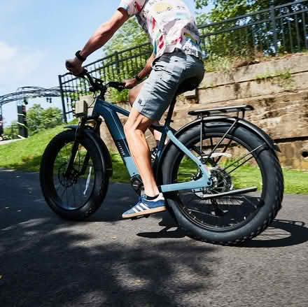 Photo of Electric bicycle (Palmer's green) #1