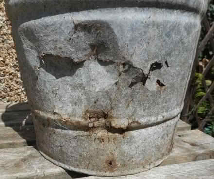 Photo of free There's a hole in my bucket - old English folk song (East Croydon CR0) #3