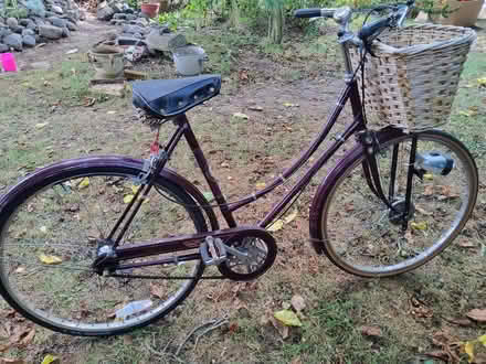 Photo of free Ladies Rayleigh Traditional Bicycle - needs tlc (Marks Tey CO6) #2