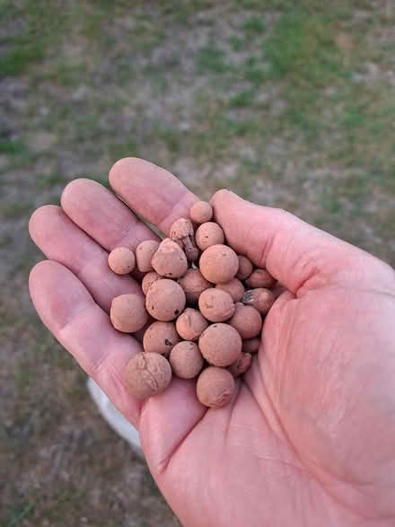 Photo of free Ceramic balls for pot plants (Twickenham TW2) #3