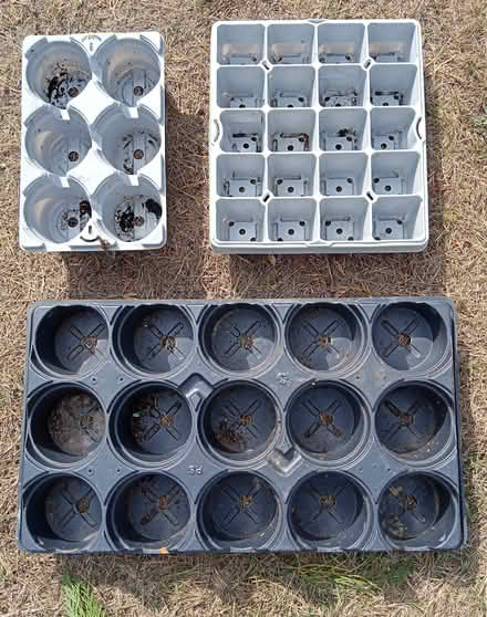 Photo of free Plastic seed trays (ferndown BH22) #1