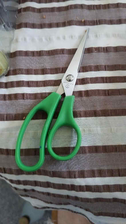 Photo of free Scissors (Llangynnwr SA31) #1